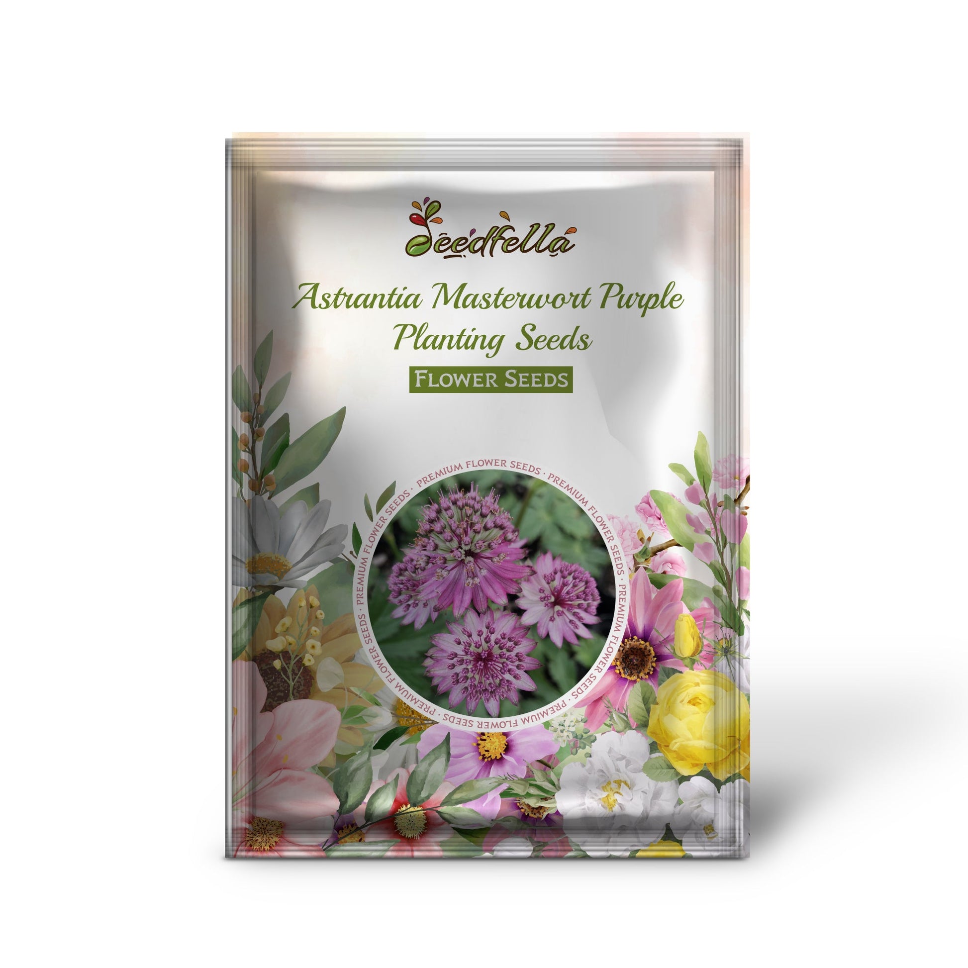High germination Astrantia seeds