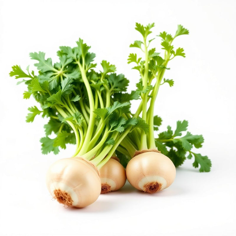 Celeriac Planting Seeds Collection | Grow Your Own Vegetable