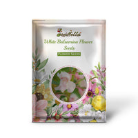White Balsamina garden seeds for outdoor planting