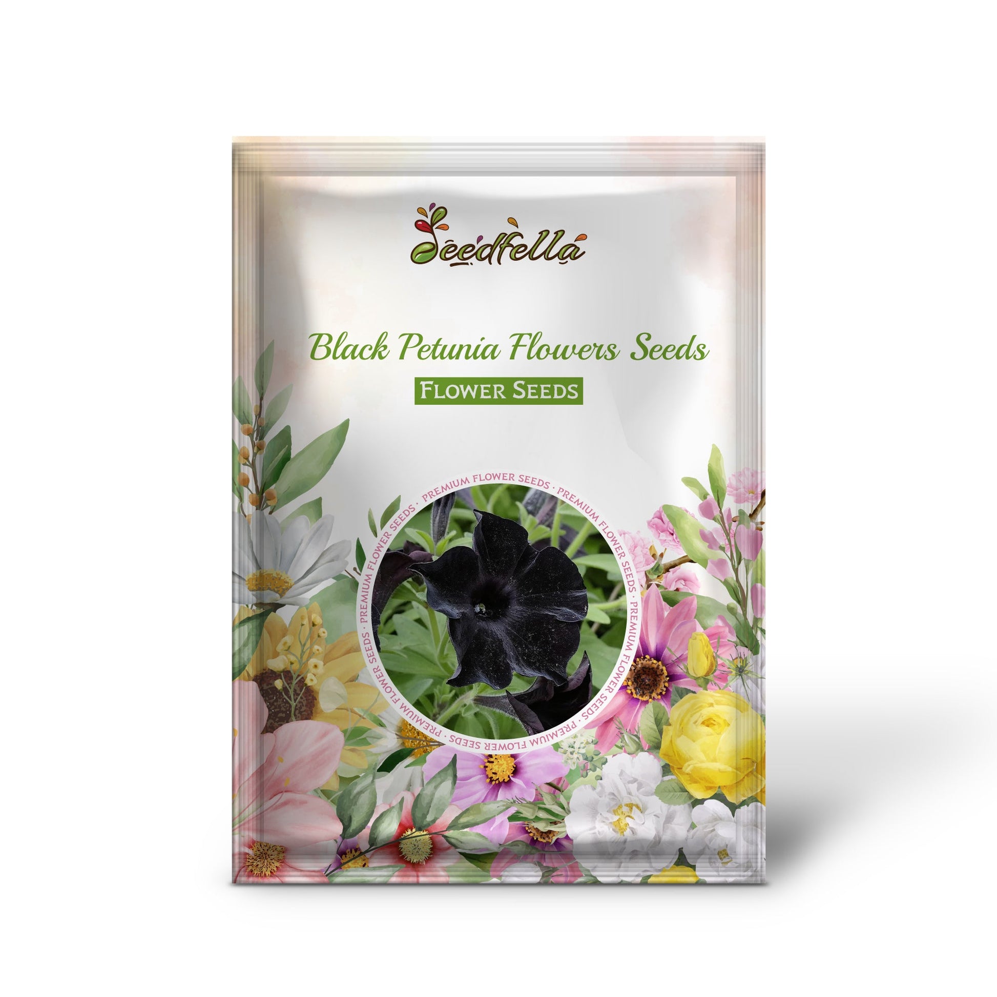 Black petunia flowers blooming in garden