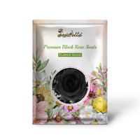 Black Rose flowers blooming in garden