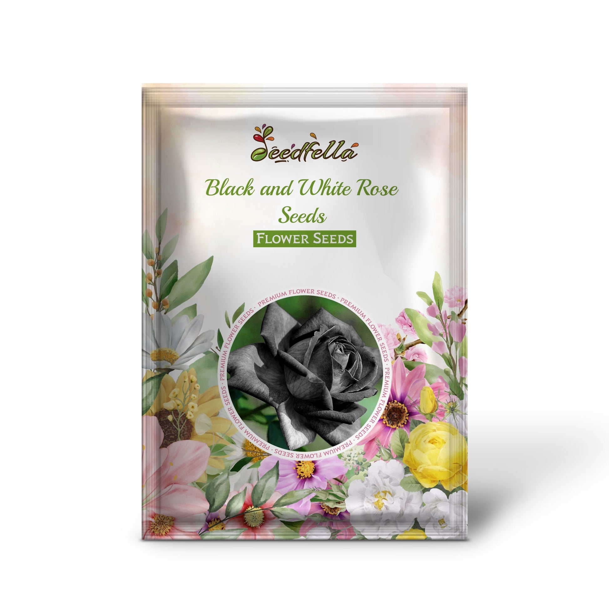 Black and White Rose flowers blooming in garden