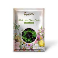 Black Velvet garden seeds for outdoor planting