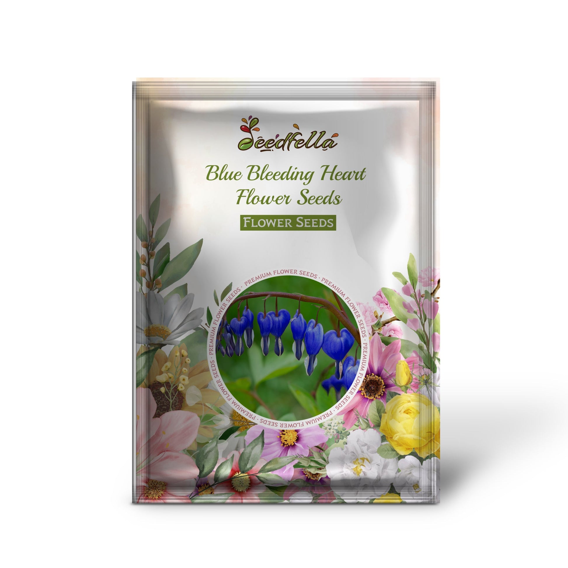 Rare blue Bleeding Heart flowers in bloom