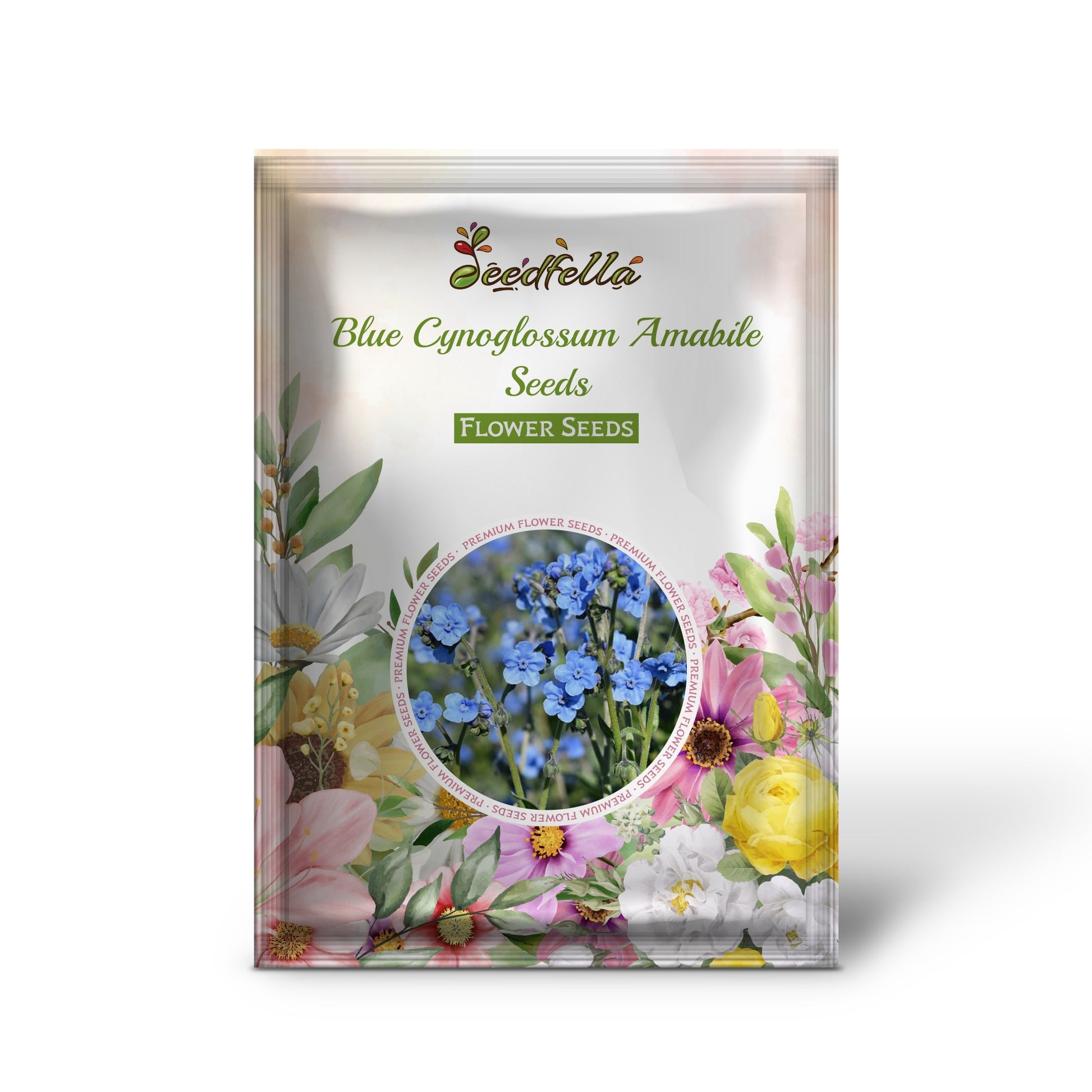 Blue Cynoglossum Amabile flowers blooming in garden