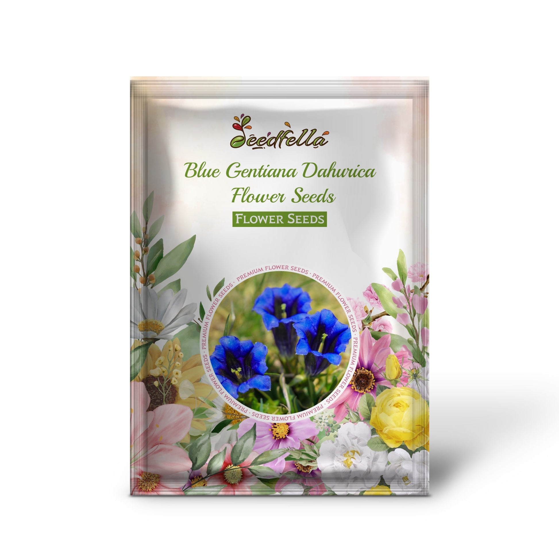 Blue Gentiana Dahurica flowers blooming in garden