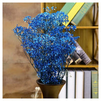 Non-GMO Blue Gypsophila seeds