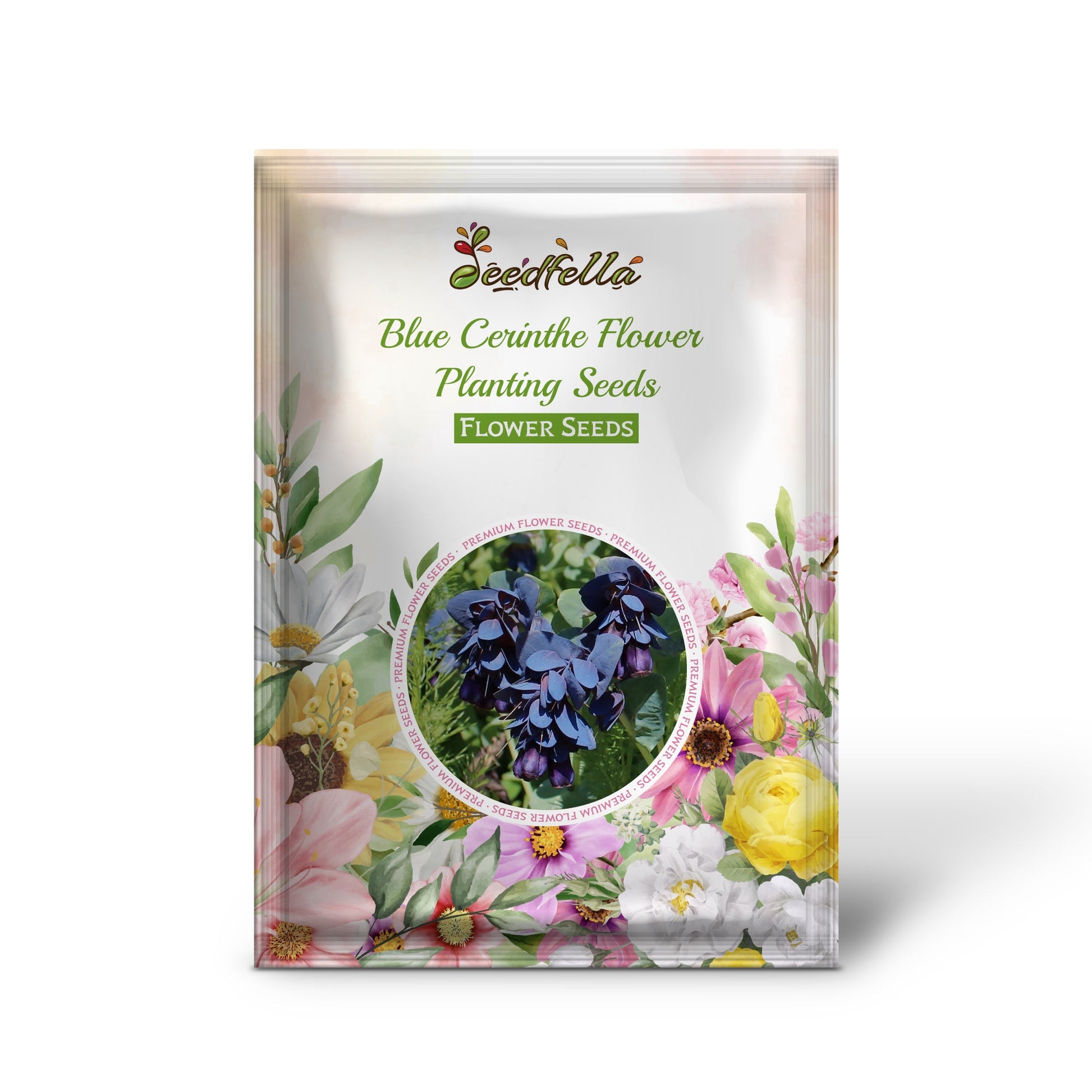 Blue Honeywort flower seeds