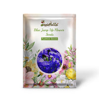 Blue Jump Up Pansy flower seeds