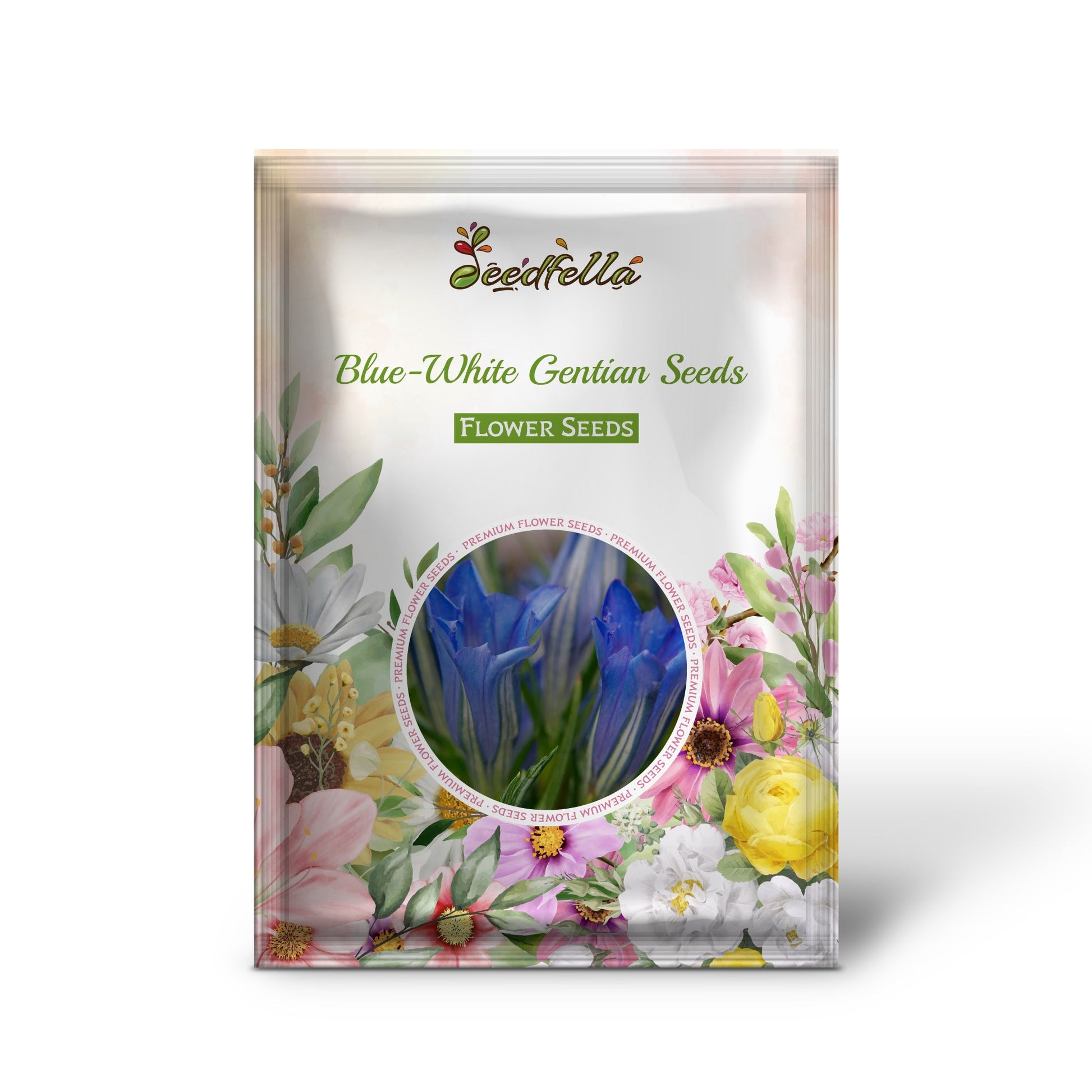 Blue White Gentian flowers blooming in garden
