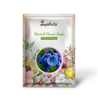 Bluebell garden seeds for outdoor planting