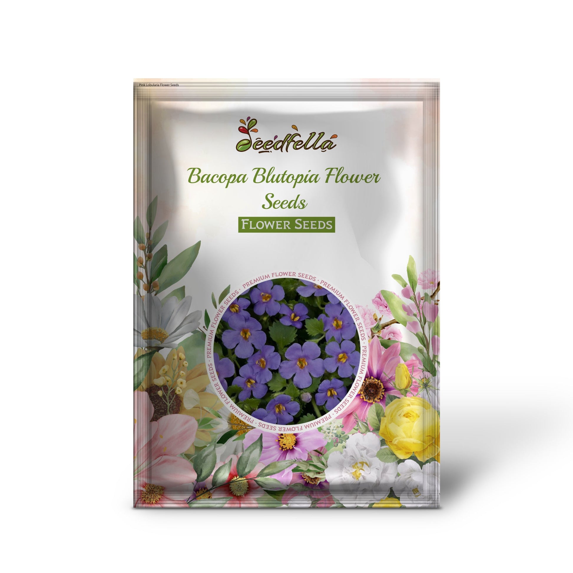 Bacopa Blutopia garden seeds for outdoor planting