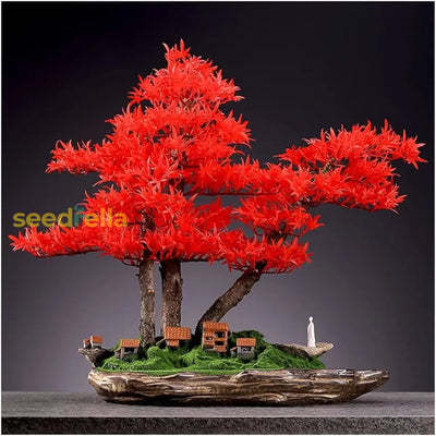 100 Pcs