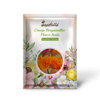 Orange Bougainvillea garden seeds for outdoor planting