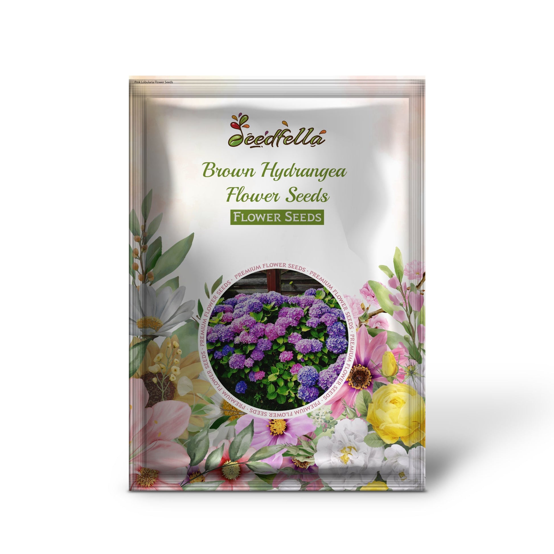 Brown hydrangea garden seeds for easy planting