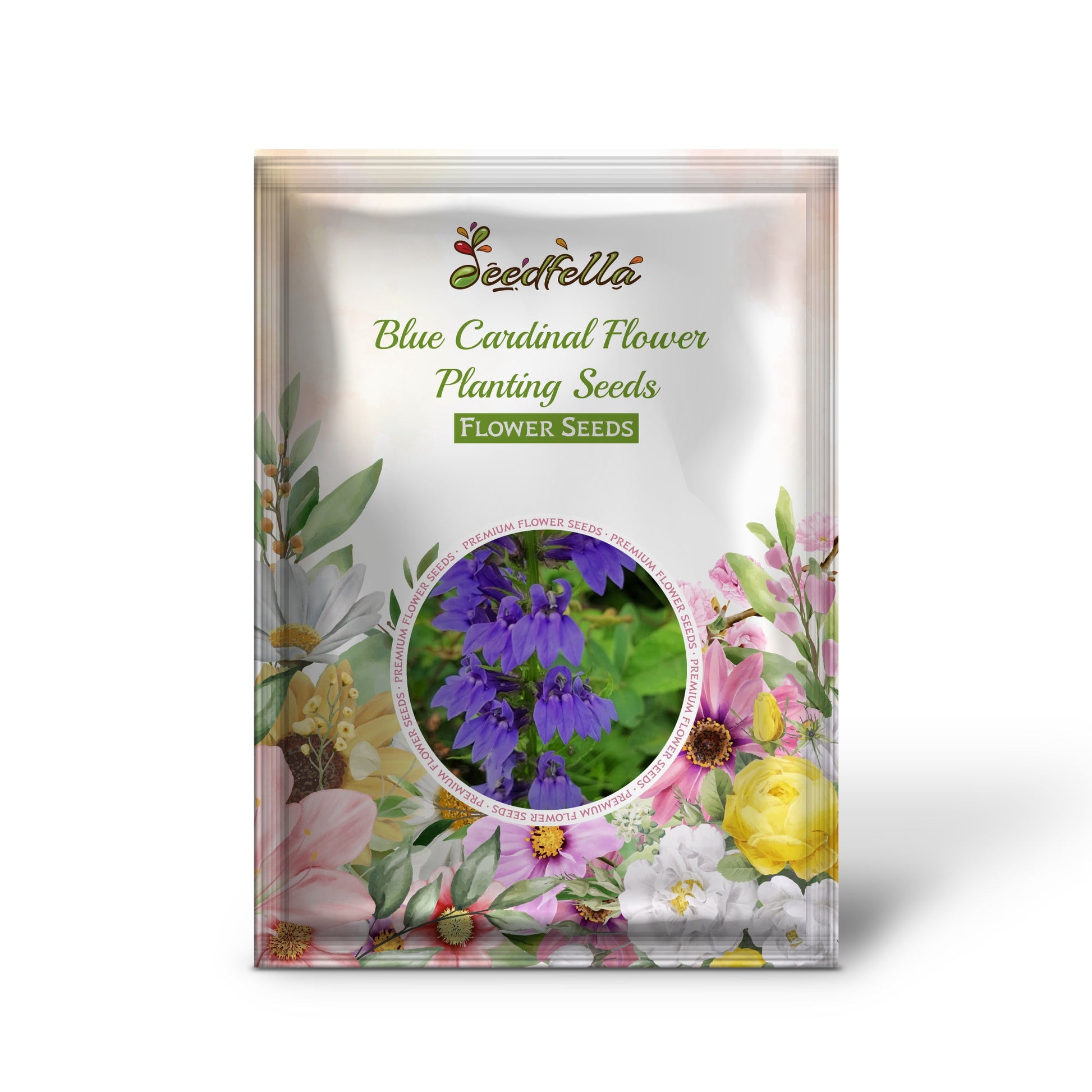 Blue cardinal garden seeds for outdoor planting