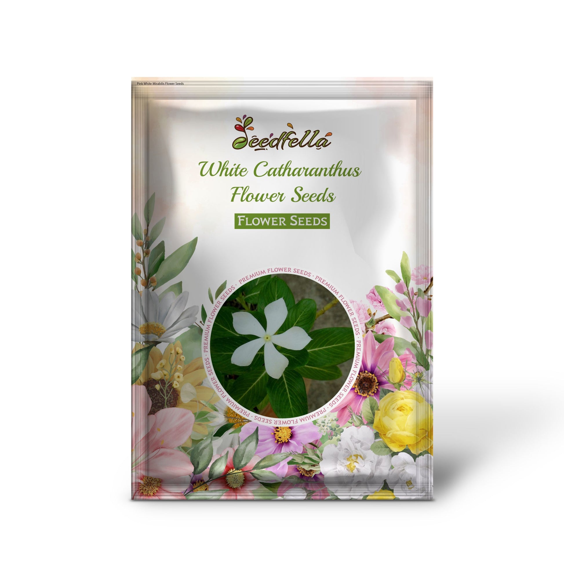 White Catharanthus garden seeds for outdoor planting