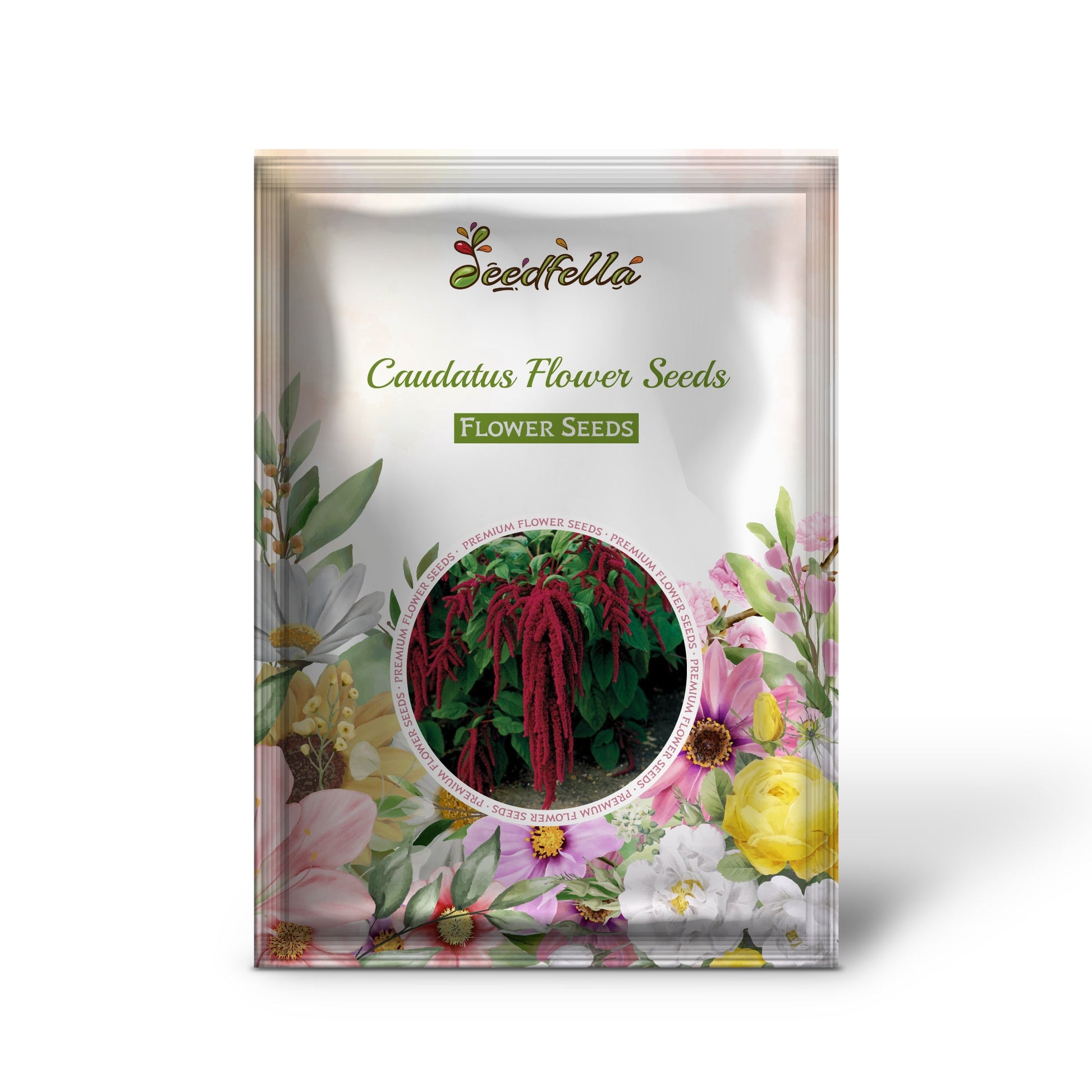 Caudatus garden seeds for outdoor planting