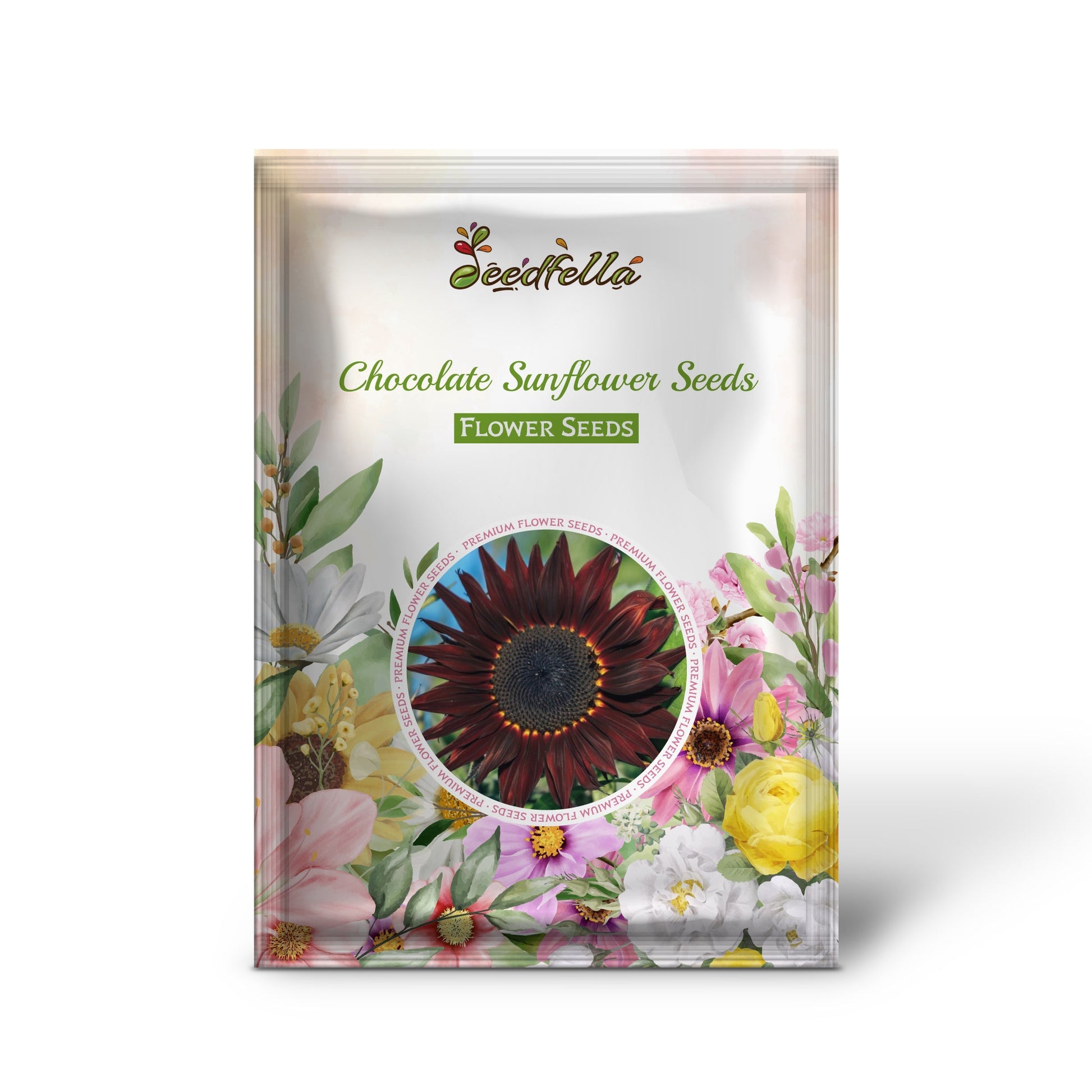 Chocolate sunflower flowers blooming in garden
