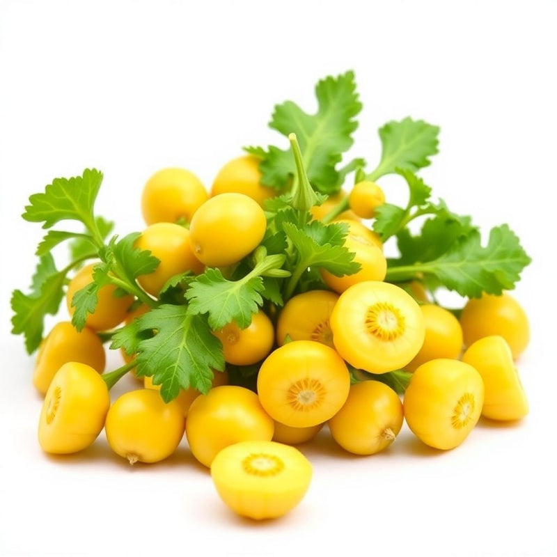 Yellow Scallop Vegetable Seeds  Perfect for Planting