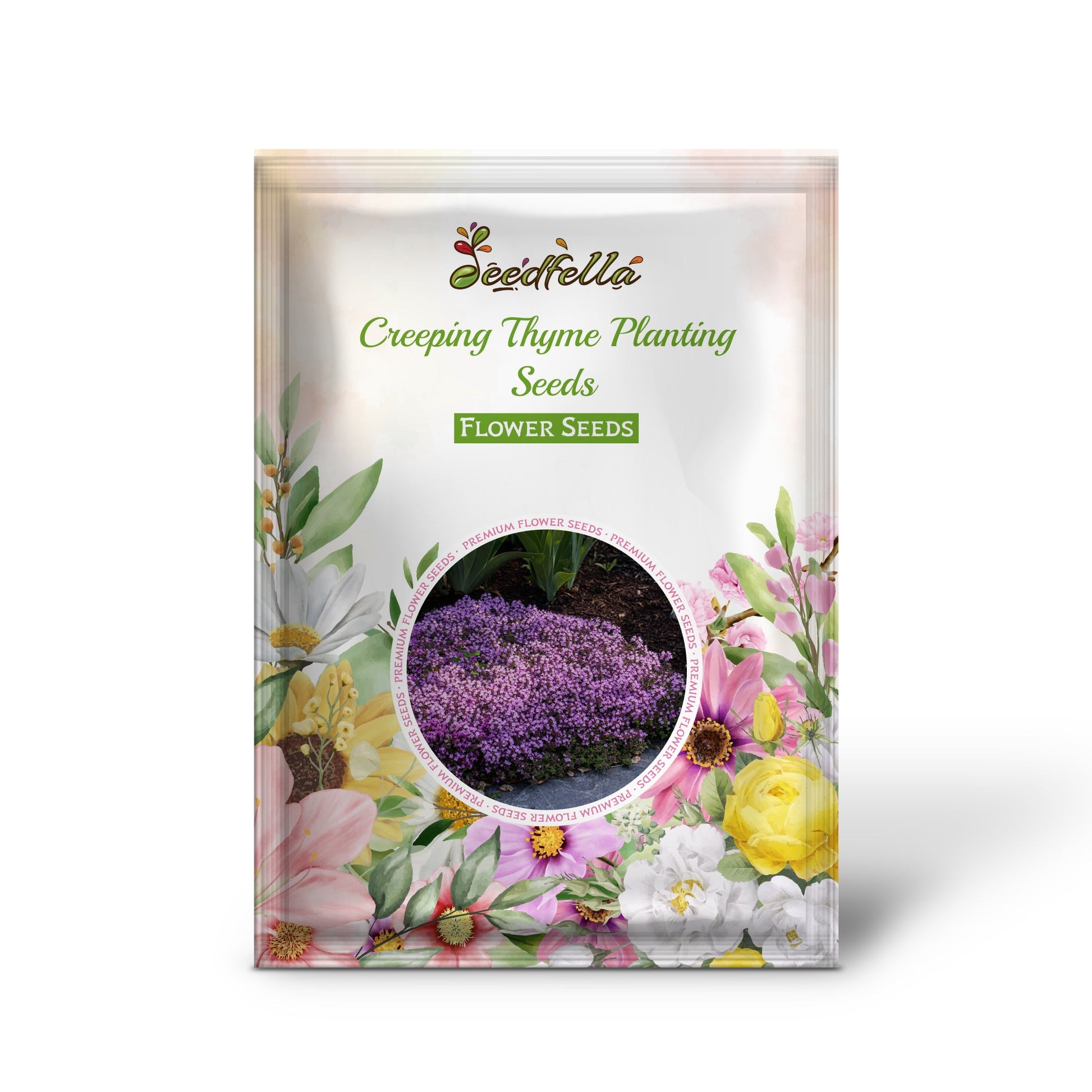 Creeping Thyme ground cover flowers