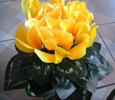 100 Pcs