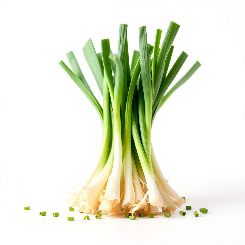 Green Scallion Seeds for Planting - Vegetable Garden Essentials