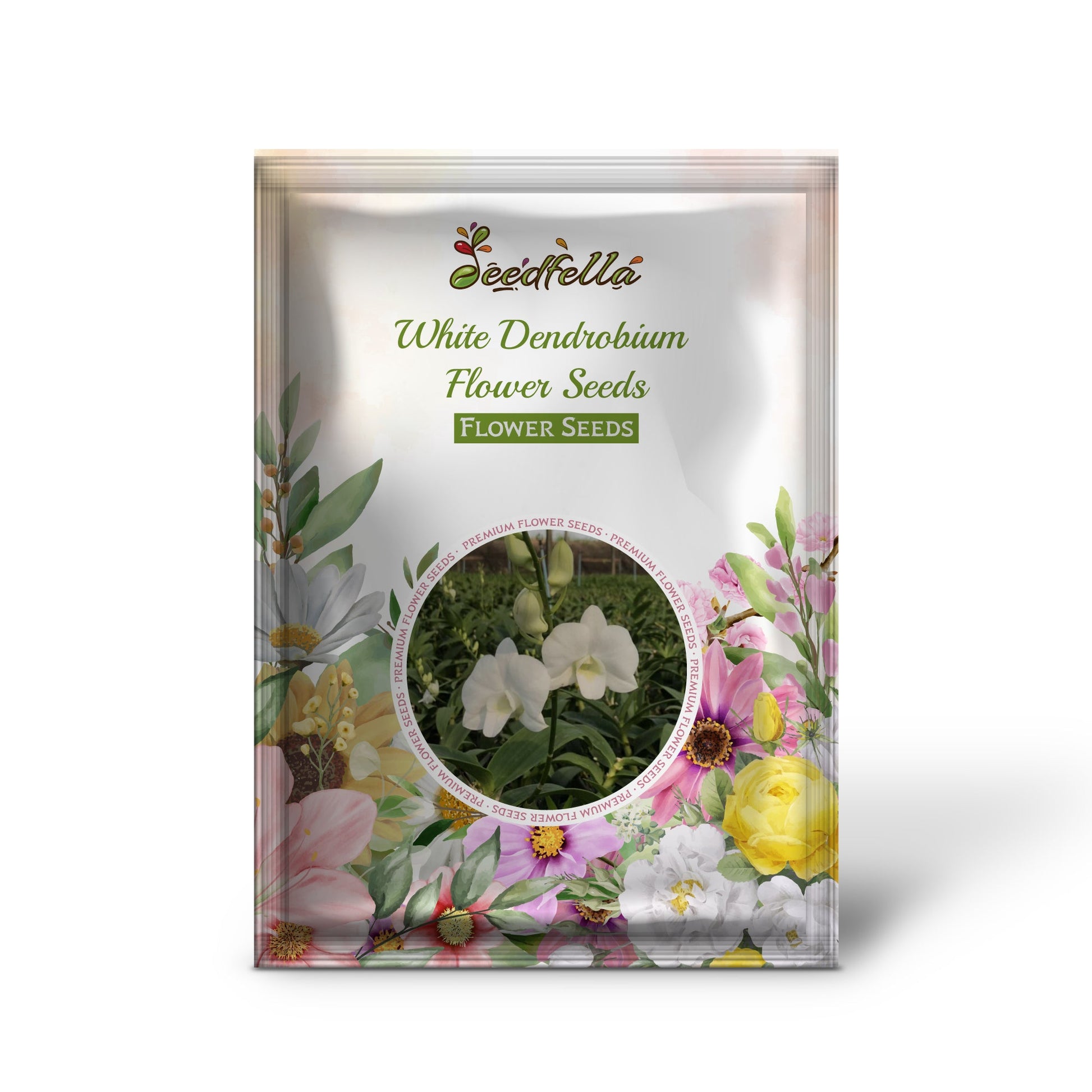 White Dendrobium garden seeds for indoor/outdoor planting