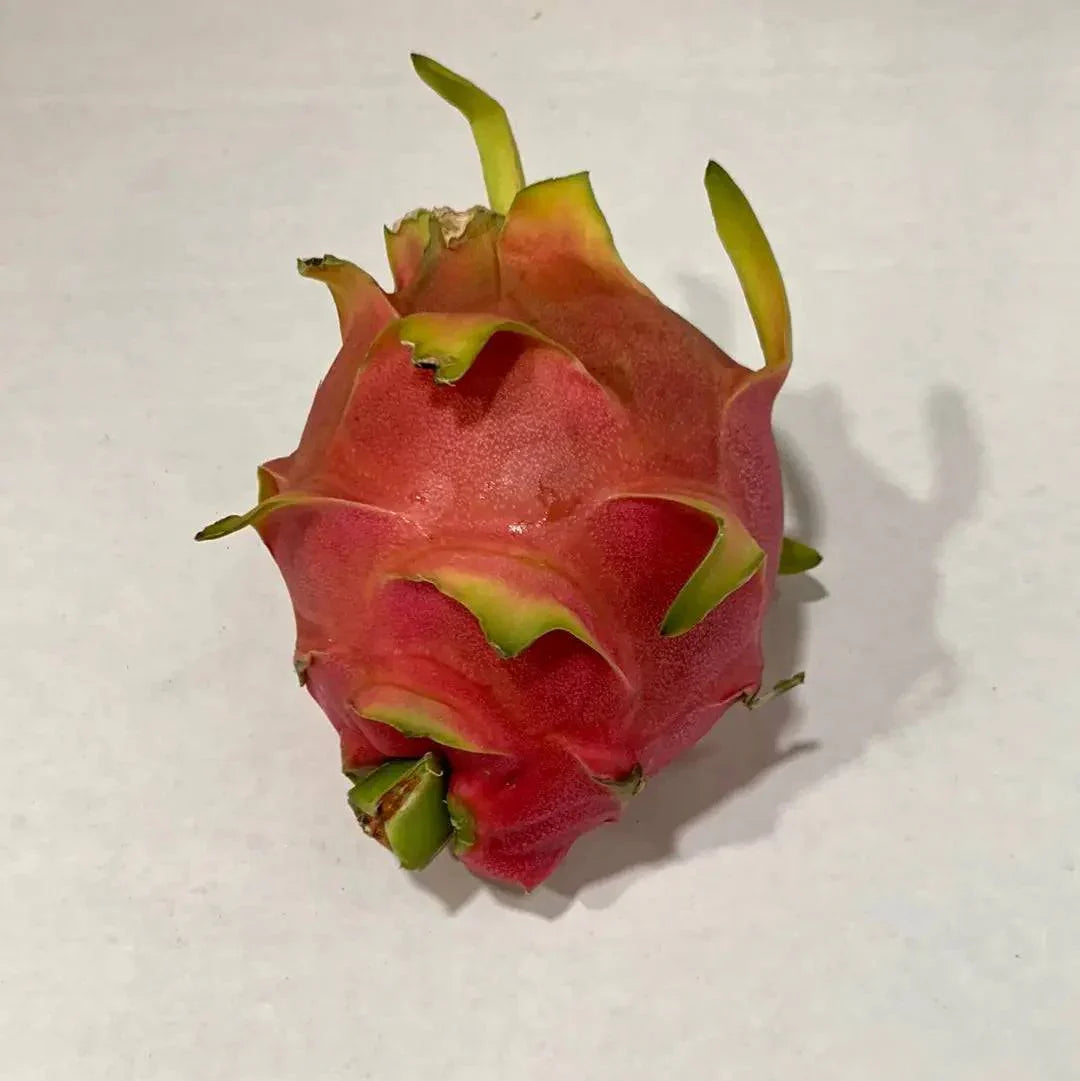 Red Pitaya Fruit Seeds for Easy Planting
