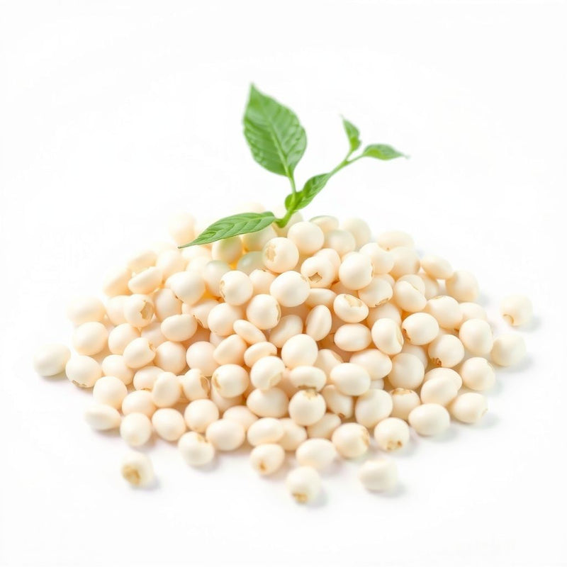 White Tepary Bean Seeds for Planting