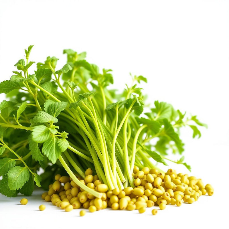 Green Komatsuna Vegetable Seeds for Easy Planting