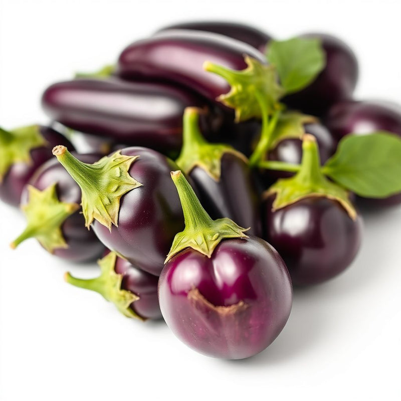 Eggplant Vegetable Seeds for Successful Planting