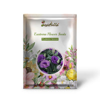 Blue and white Eustoma garden seeds for outdoor planting