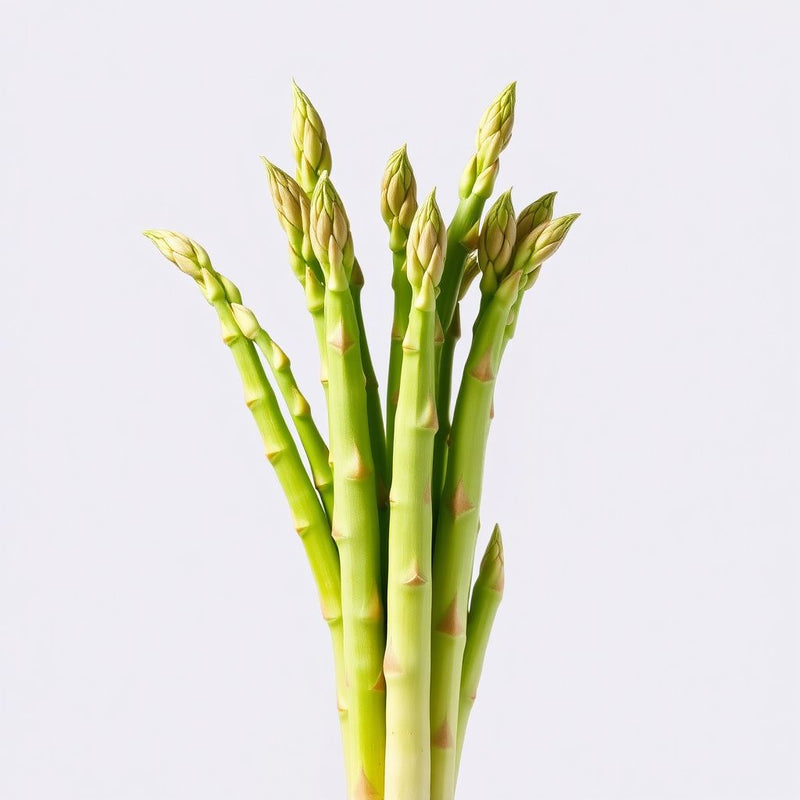 Green Asparagus Bean Seeds for Planting