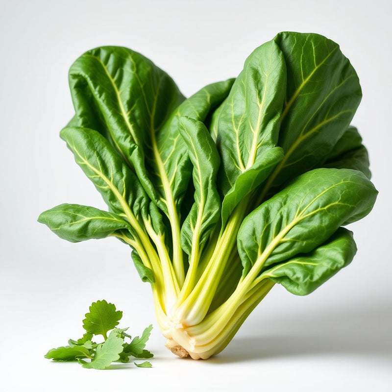 Green Chard Vegetable Seeds Perfect for Home Gardening
