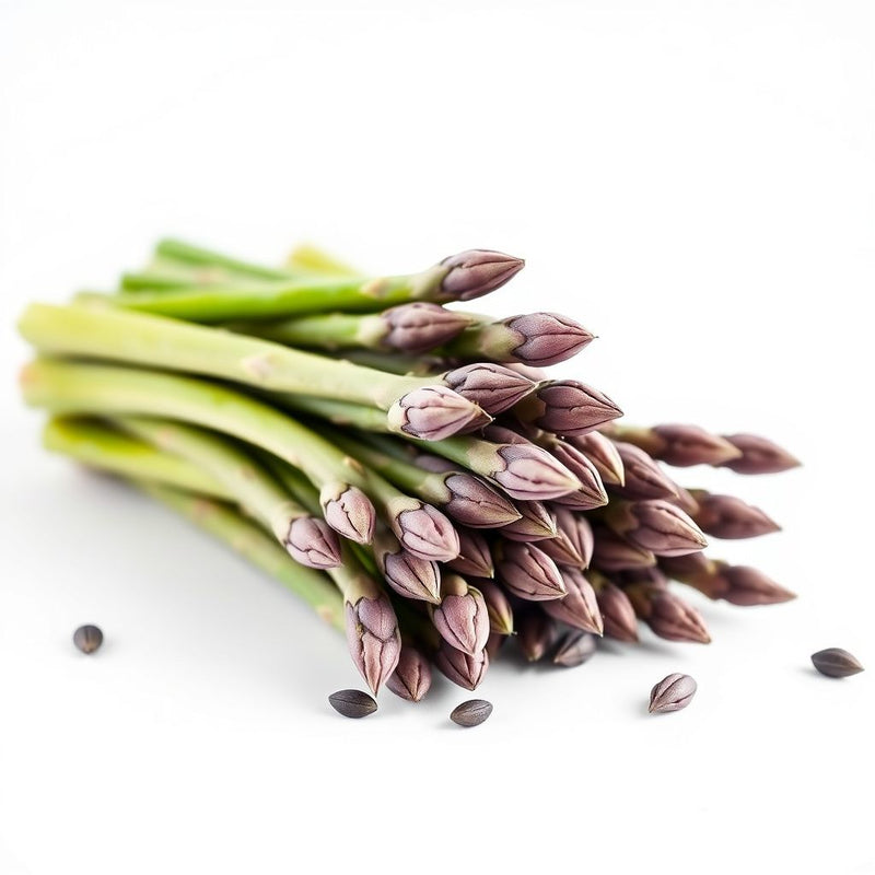 Purple Asparagus Seeds  Perfect for Planting