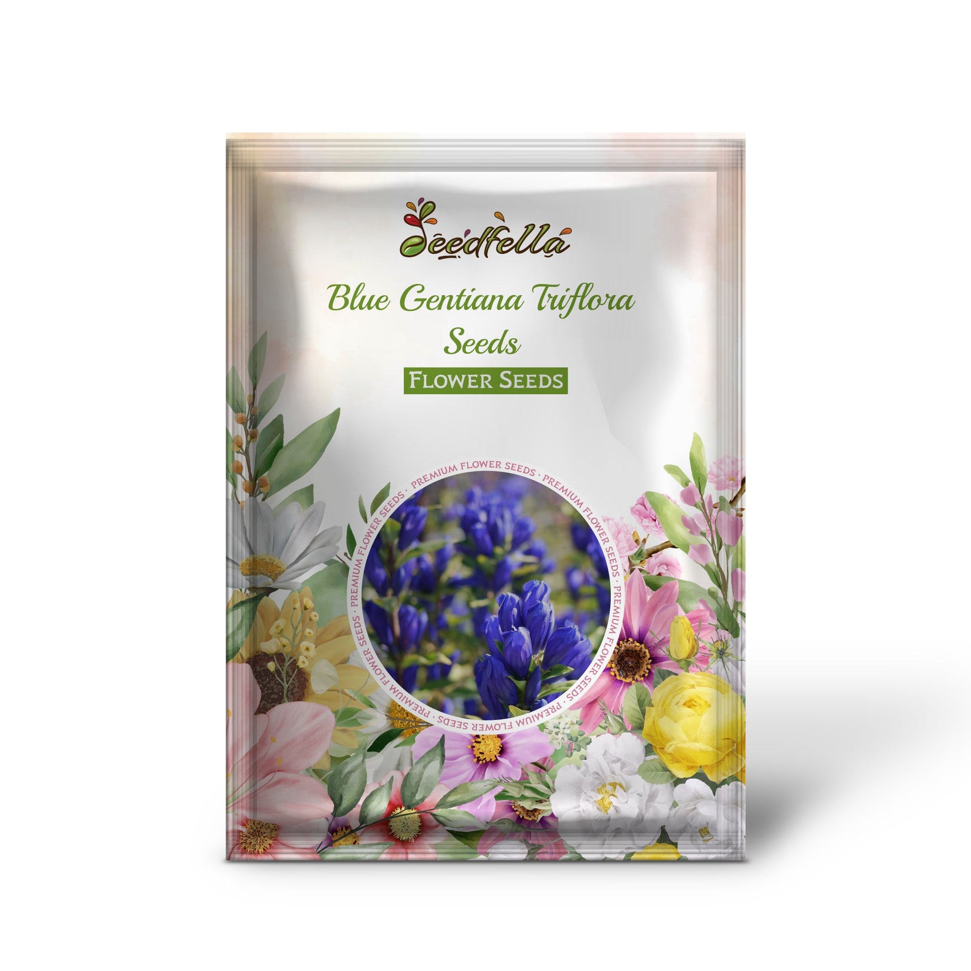 Blue Gentiana garden seeds for outdoor planting