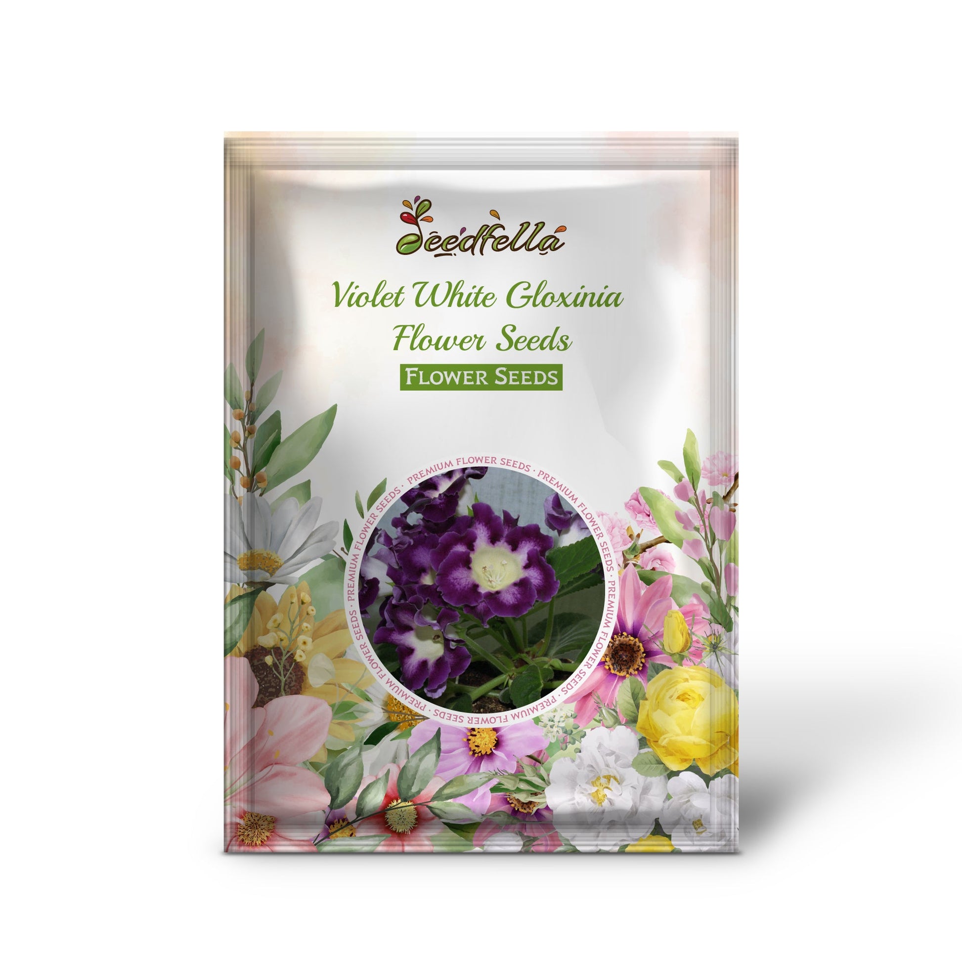 Violet White Gloxinia garden seeds for indoor planting