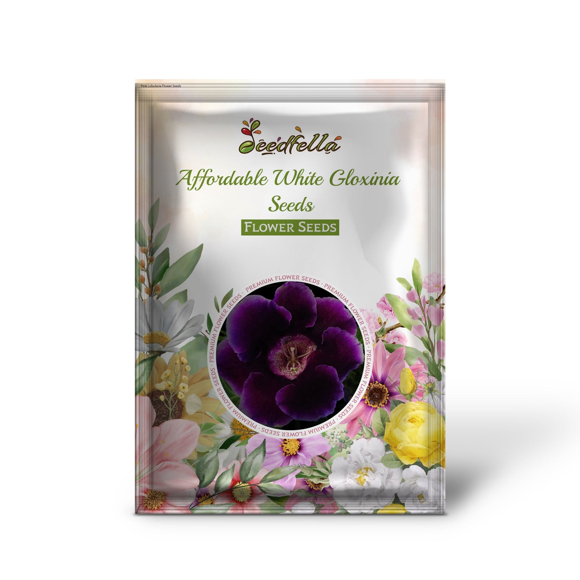 White Gloxinia garden seeds for balcony planting