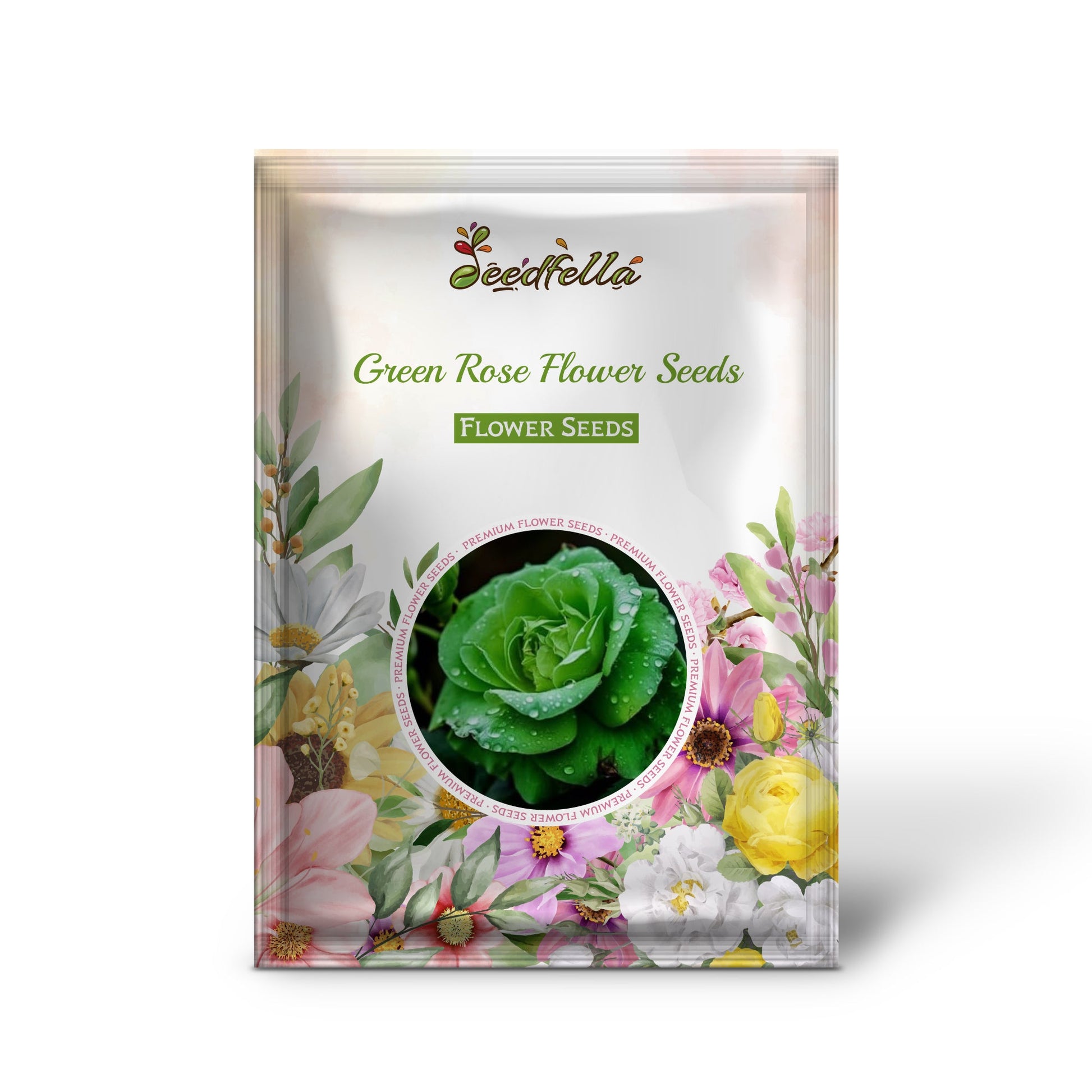 Green Rose flowers blooming in garden