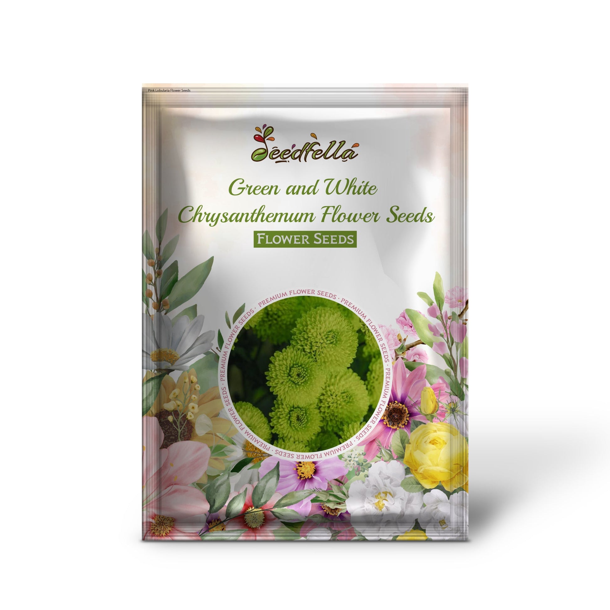 Green and white chrysanthemum garden seeds for outdoor planting