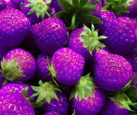 Strawberry Fruit Seeds Purple for Planting  Seed for Unique, Colorful Strawberry Growth