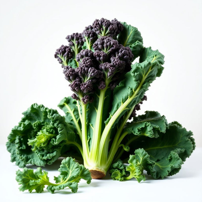 Premium Kale Planting Seeds