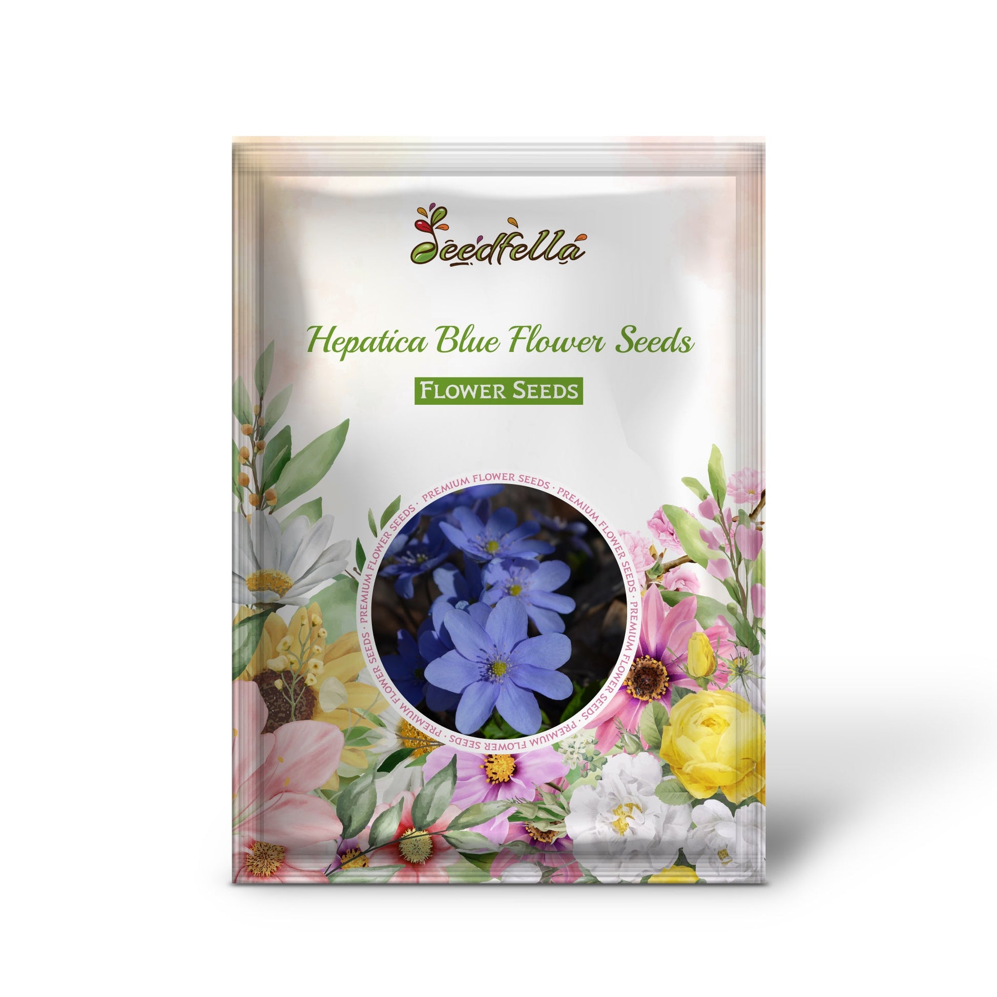 Blue Hepatica garden seeds for outdoor planting