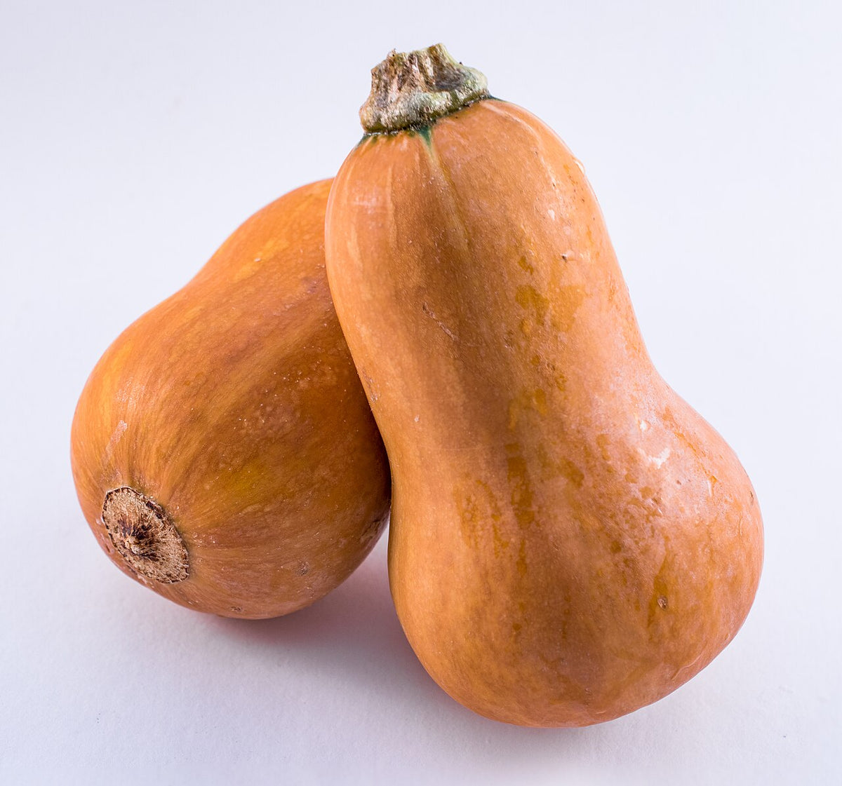 Orange Honeynut Vegetable Seeds for Planting