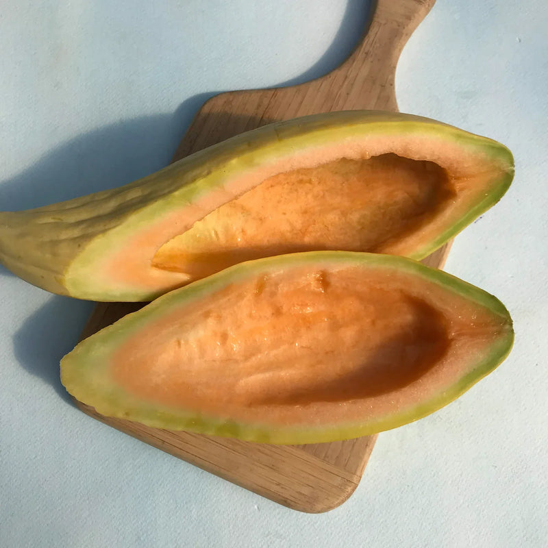 Gold Banana Melon Seeds for Planting  Premium Fruit Seeds