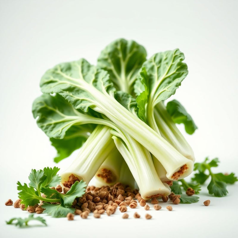 Collard Green Vegetable Seeds for Gardeners