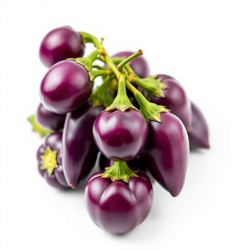 Violet Brinjal Vegetable Seeds for Planting