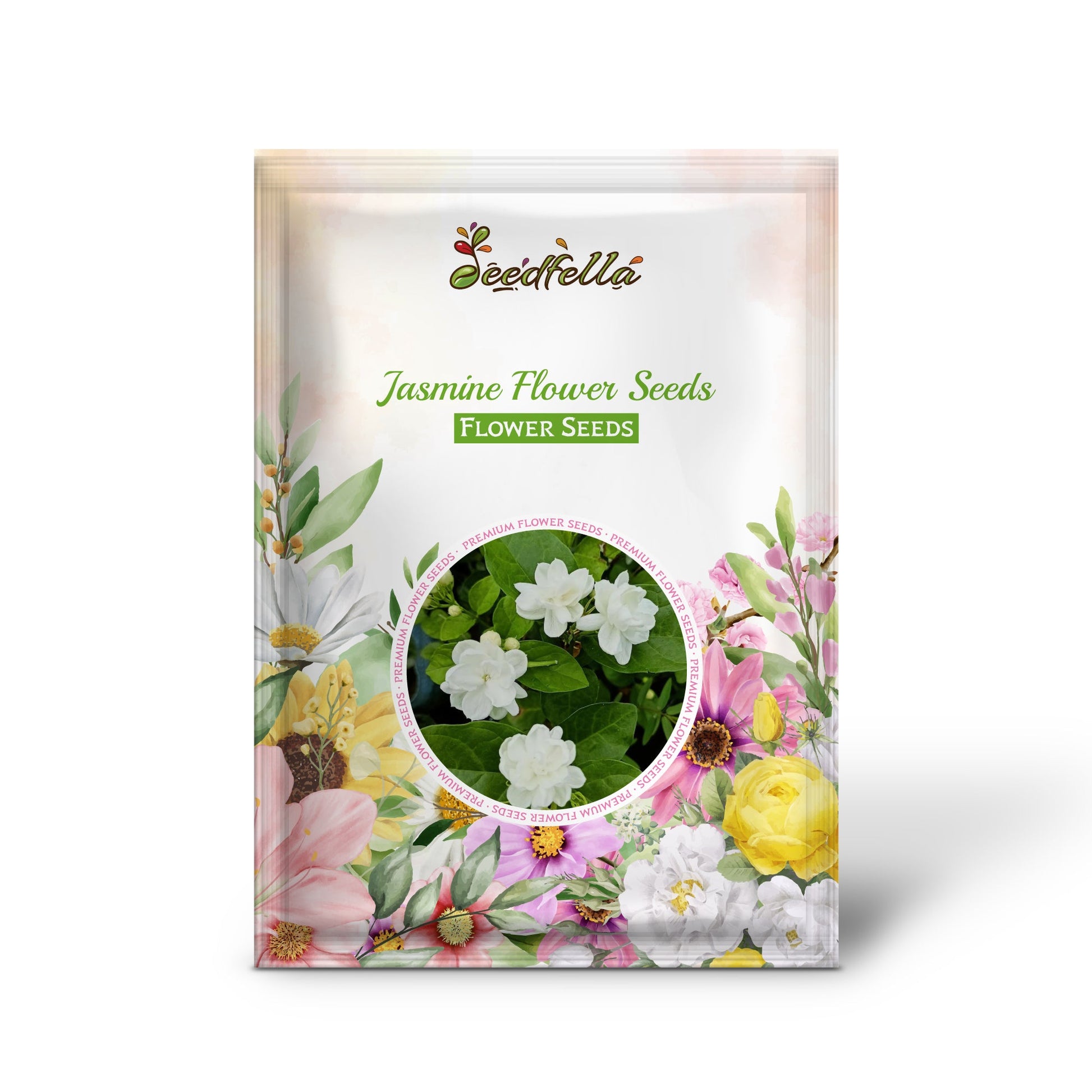 Fragrant Jasmine flower blooms