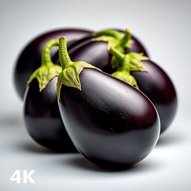 SAFLAX Eggplant Seeds for Easy Planting  Grow Your Own Vegetables